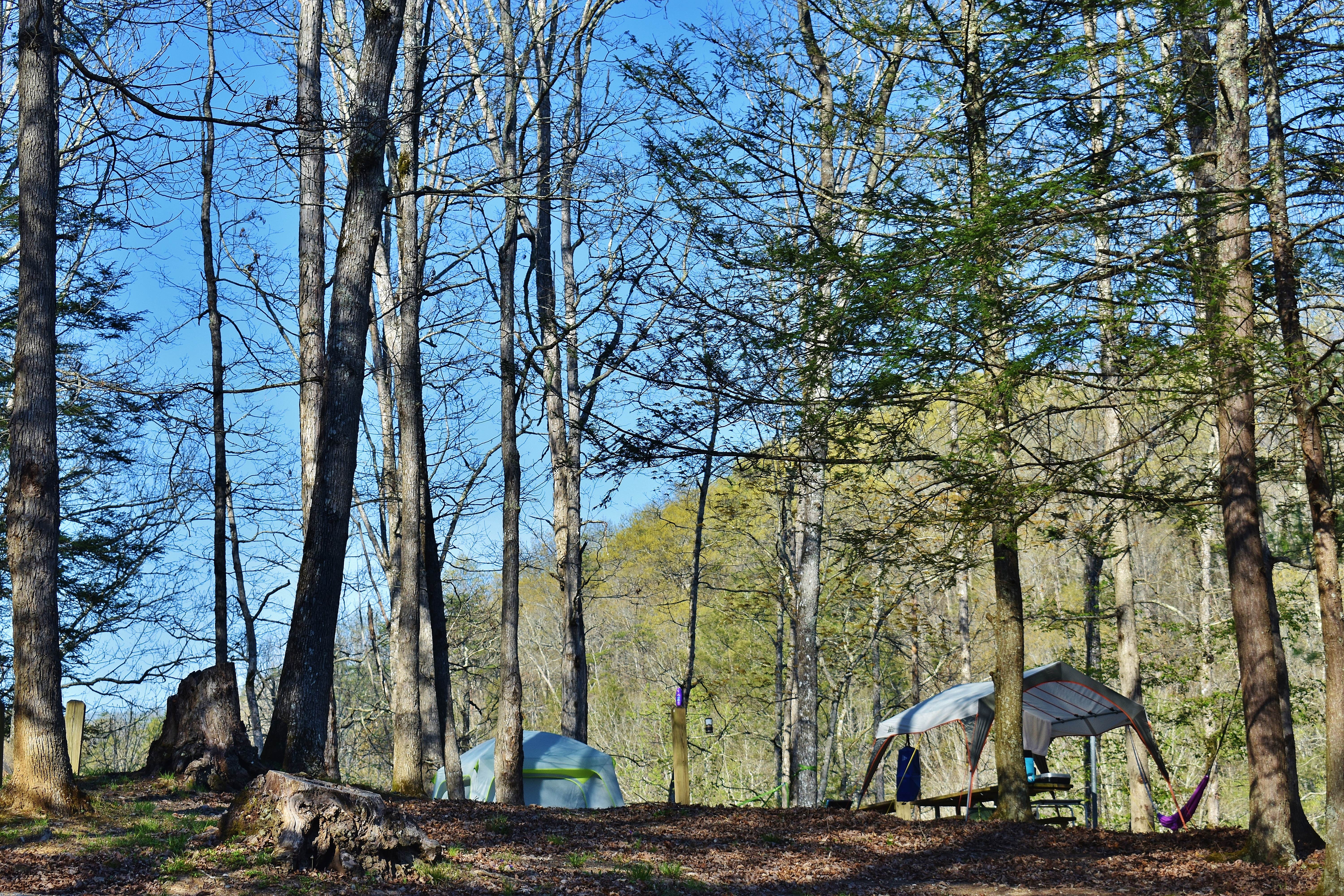 Camper-submitted photo at Royal Oak Campground — Hungry Mother State Park in Virginia