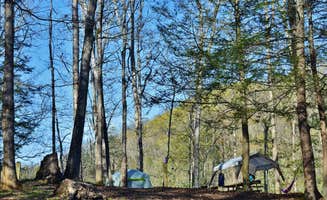 Myron C.'s photo at Royal Oak Campground — Hungry Mother State Park near Sugar Grove, VA