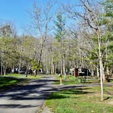 Review photo of Royal Oak Campground — Hungry Mother State Park by Myron C., April 28, 2019