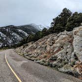 Review photo of Lower Lehman Campground — Great Basin National Park by Shari  G., April 28, 2019