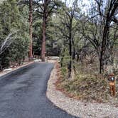 Review photo of Lower Lehman Campground — Great Basin National Park by Shari  G., April 28, 2019