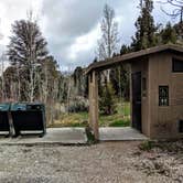 Review photo of Lower Lehman Campground — Great Basin National Park by Shari  G., April 28, 2019