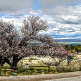 Review photo of Lower Lehman Campground — Great Basin National Park by Shari  G., April 28, 2019