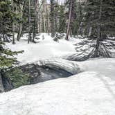 Review photo of Lower Lehman Campground — Great Basin National Park by Shari  G., April 28, 2019