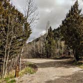 Review photo of Lower Lehman Campground — Great Basin National Park by Shari  G., April 28, 2019