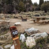 Review photo of Upper Lehman Creek Campground — Great Basin National Park by Shari  G., April 28, 2019