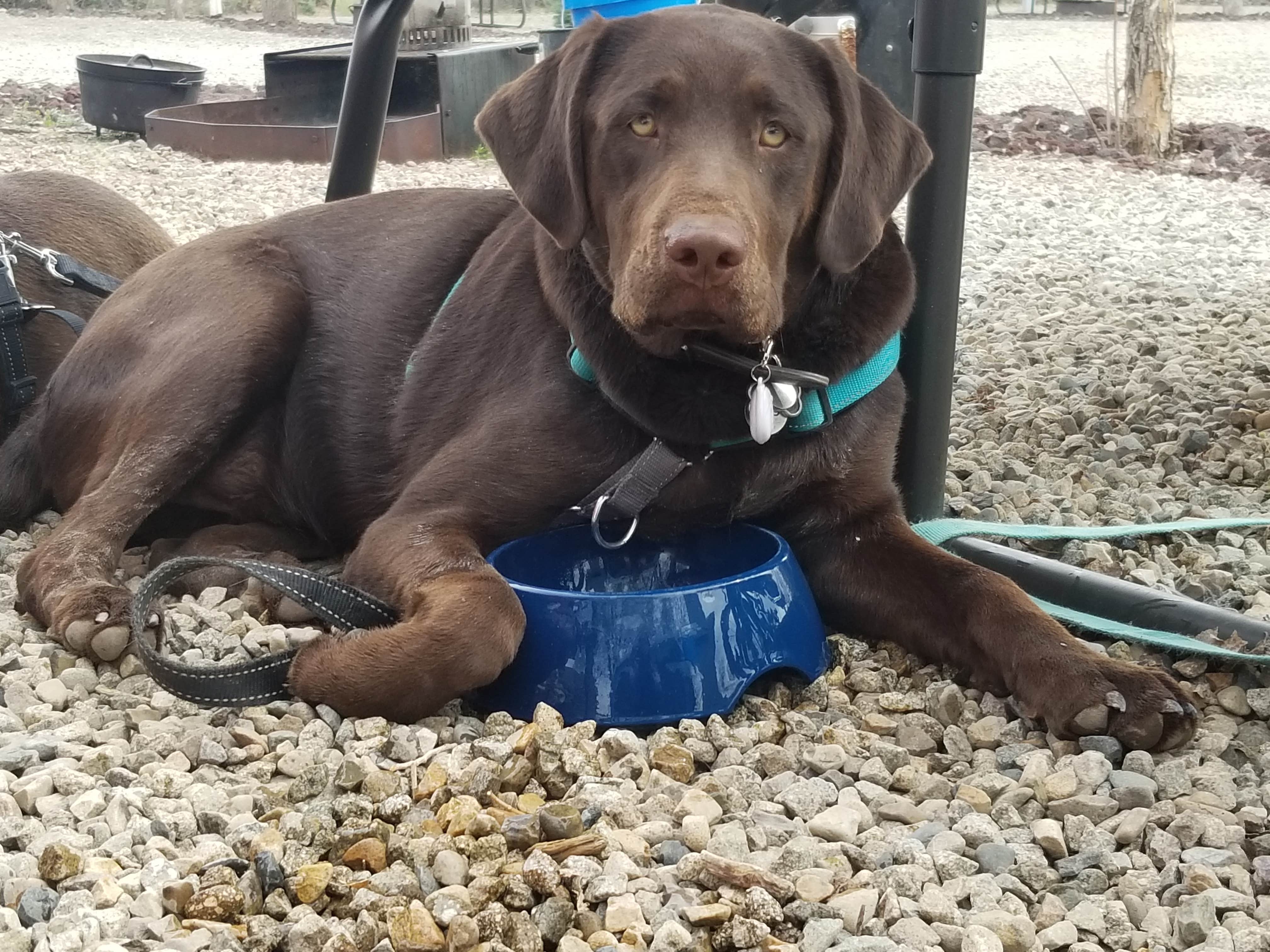Camper-submitted photo at Cortez, Mesa Verde KOA near Kirtland, NM