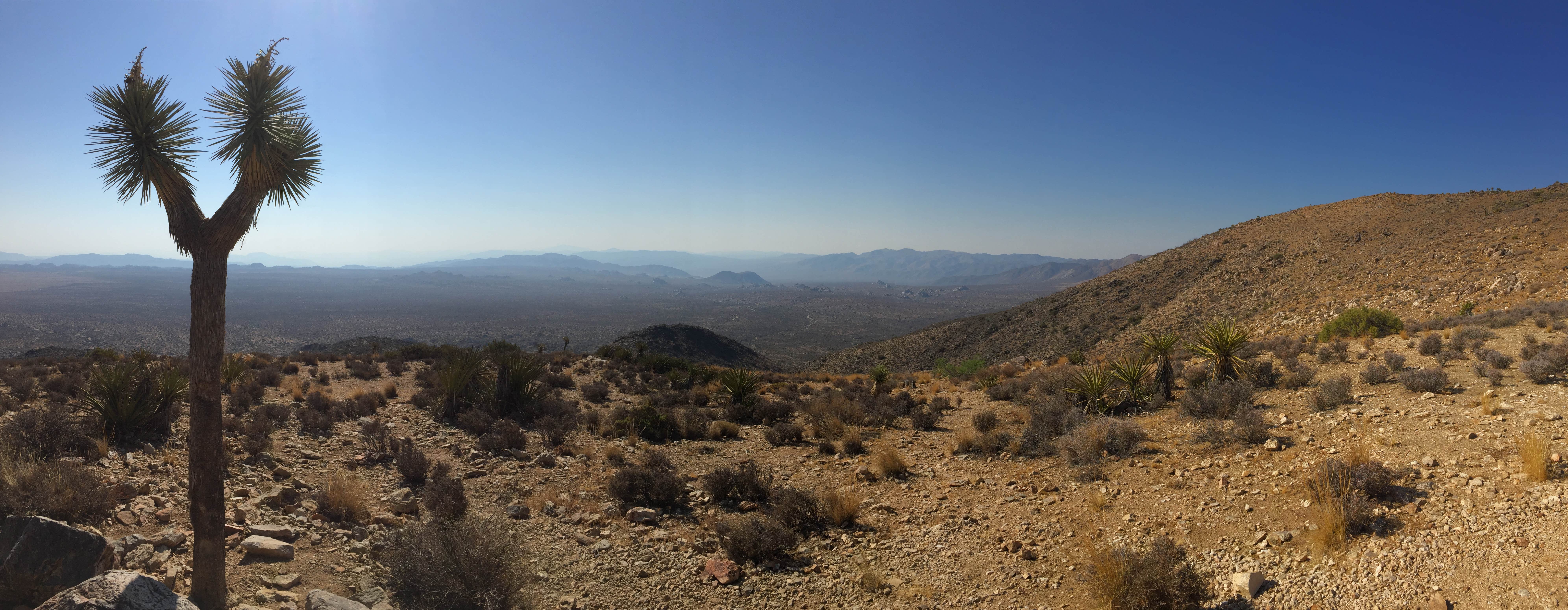 Camper submitted image from White Tank Campground — Joshua Tree National Park - 2