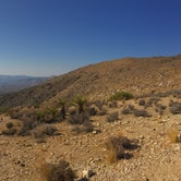Review photo of White Tank Campground — Joshua Tree National Park by Stephanie Z., August 28, 2016