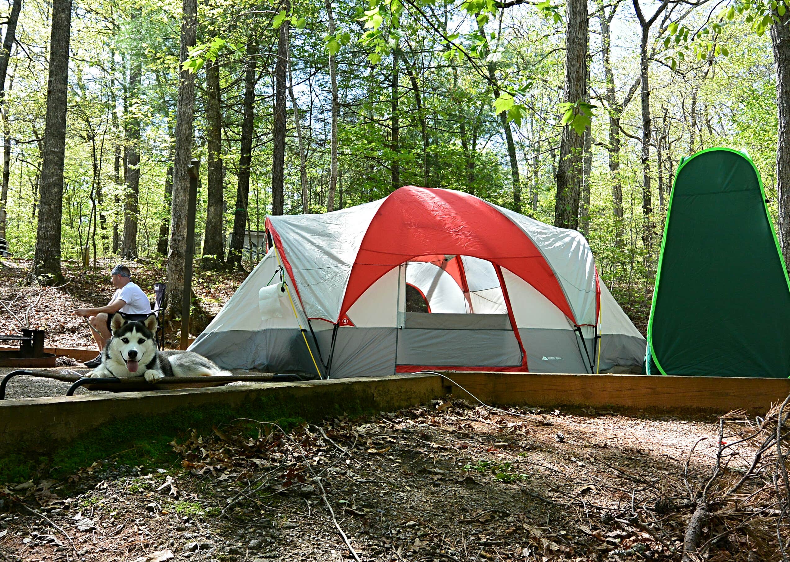 Roselyn T.'s photo at Lake Powhatan — National Forests In North Carolina near National Forests in North Carolina