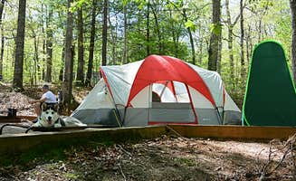 Roselyn T.'s photo at Lake Powhatan — National Forests In North Carolina near Asheville, NC