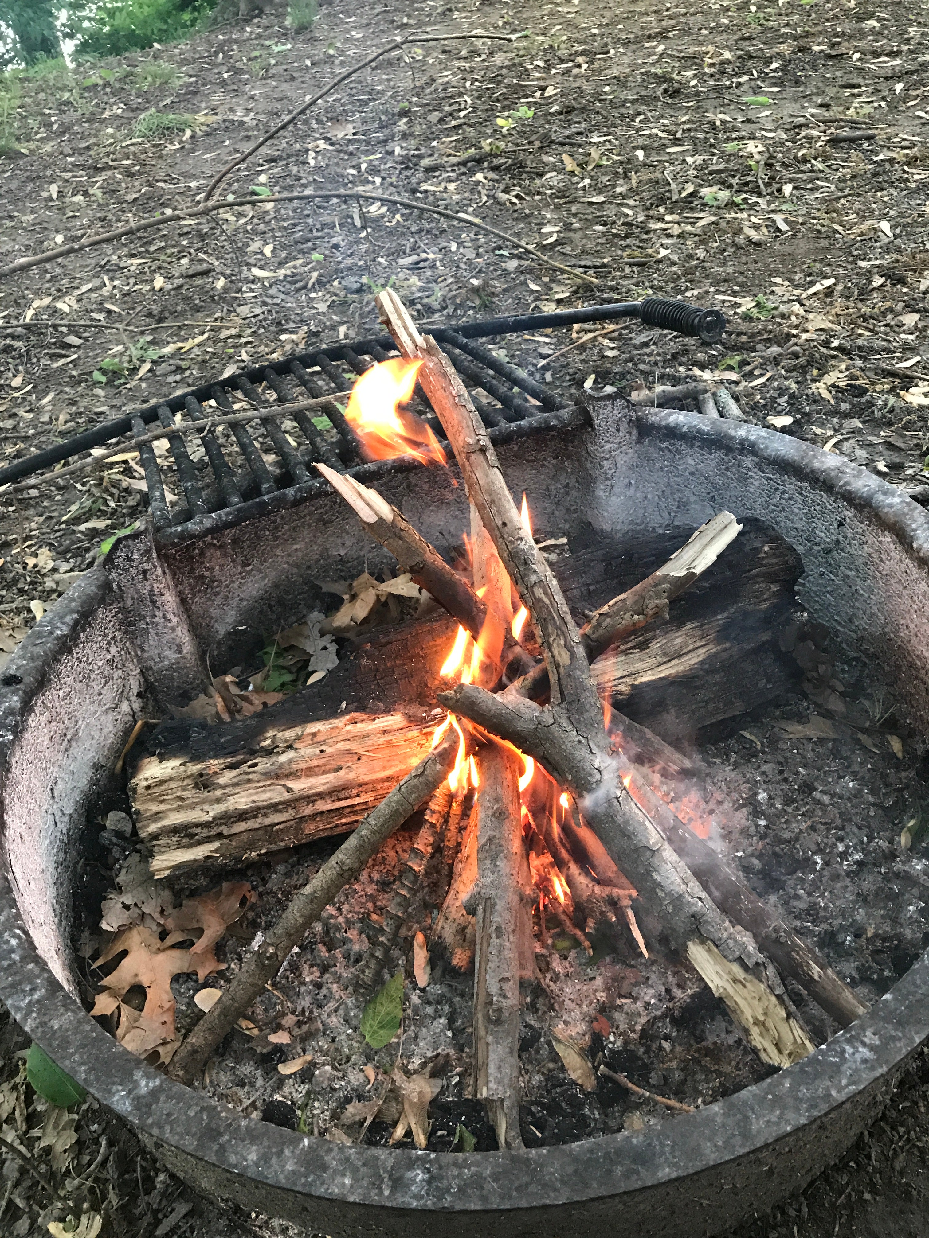 Camper submitted image from Horsepen Branch Hiker-biker Overnight Campsite — Chesapeake and Ohio Canal National Historical Park - 1