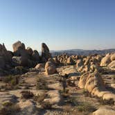 Review photo of White Tank Campground — Joshua Tree National Park by Stephanie Z., August 28, 2016