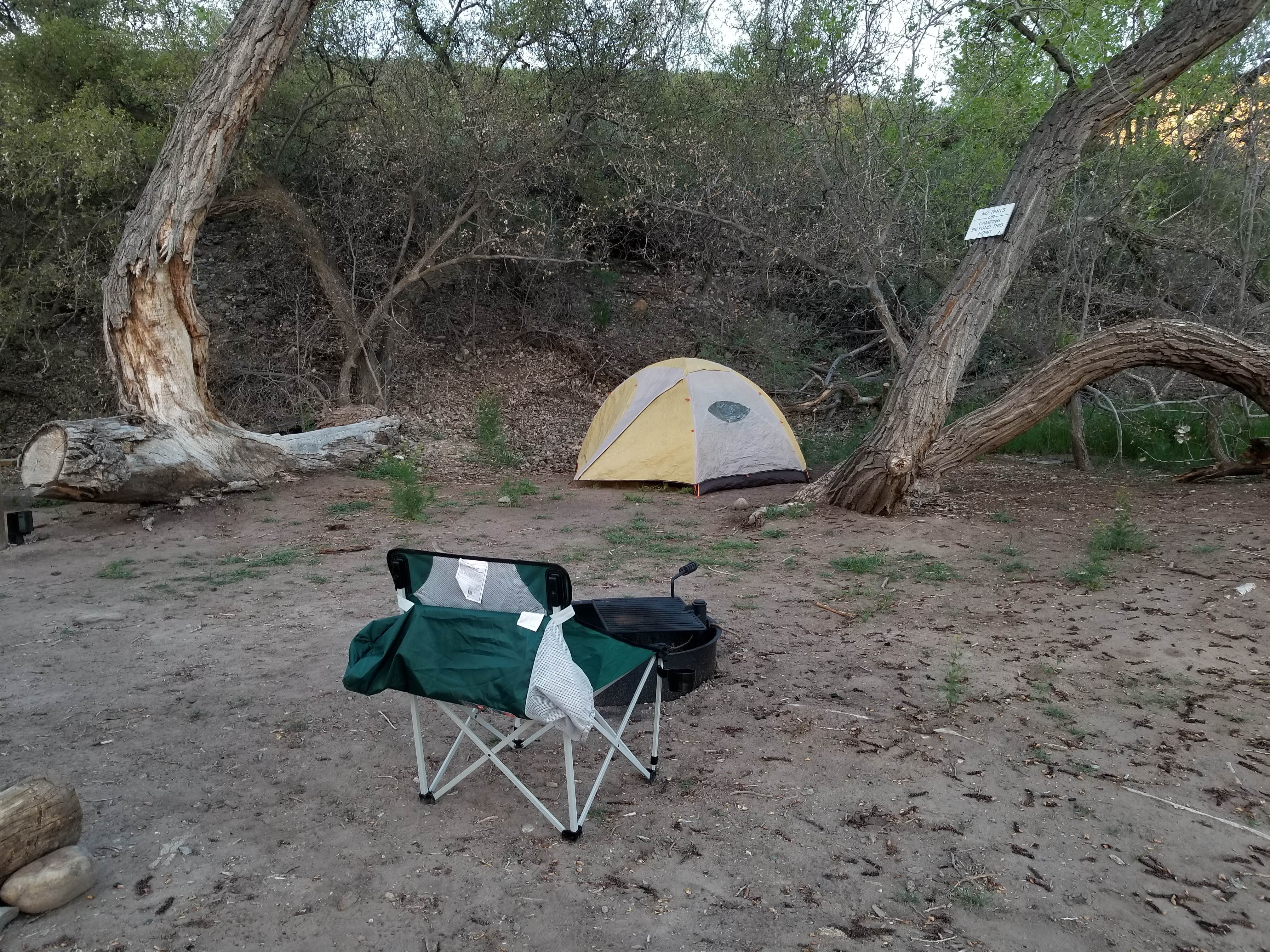 Camper submitted image from Palisade Basecamp RV Resort - 4