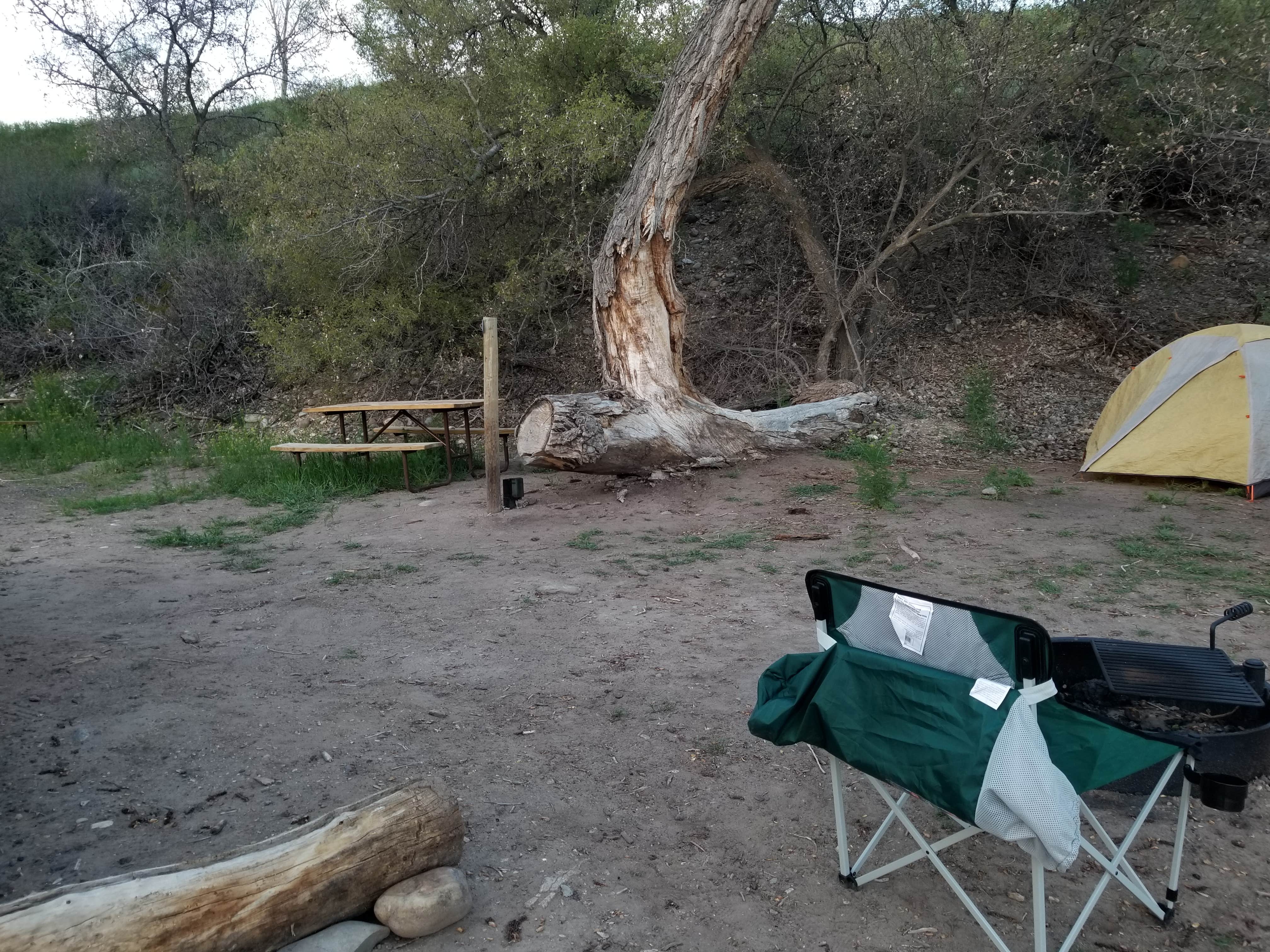 Camper submitted image from Palisade Basecamp RV Resort - 3