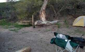 Melissa K.'s photo at Palisade Basecamp RV Resort near Clifton, CO