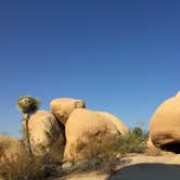 Review photo of White Tank Campground — Joshua Tree National Park by Stephanie Z., August 28, 2016