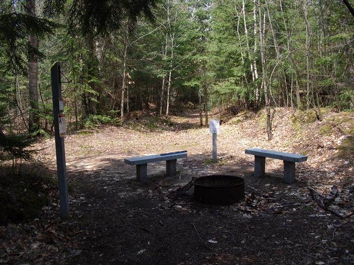 Camper submitted image from Channel Marker Campsite On Grand Island - 5