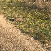 Review photo of Red Arroyo — San Angelo State Park by Elizabeth N., April 29, 2019