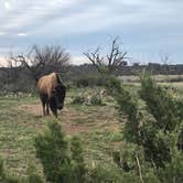 Review photo of Red Arroyo — San Angelo State Park by Elizabeth N., April 29, 2019