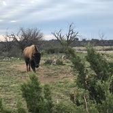 Review photo of North Concho — San Angelo State Park by Elizabeth N., April 29, 2019