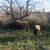 Review photo of Red Arroyo — San Angelo State Park by Elizabeth N., April 29, 2019