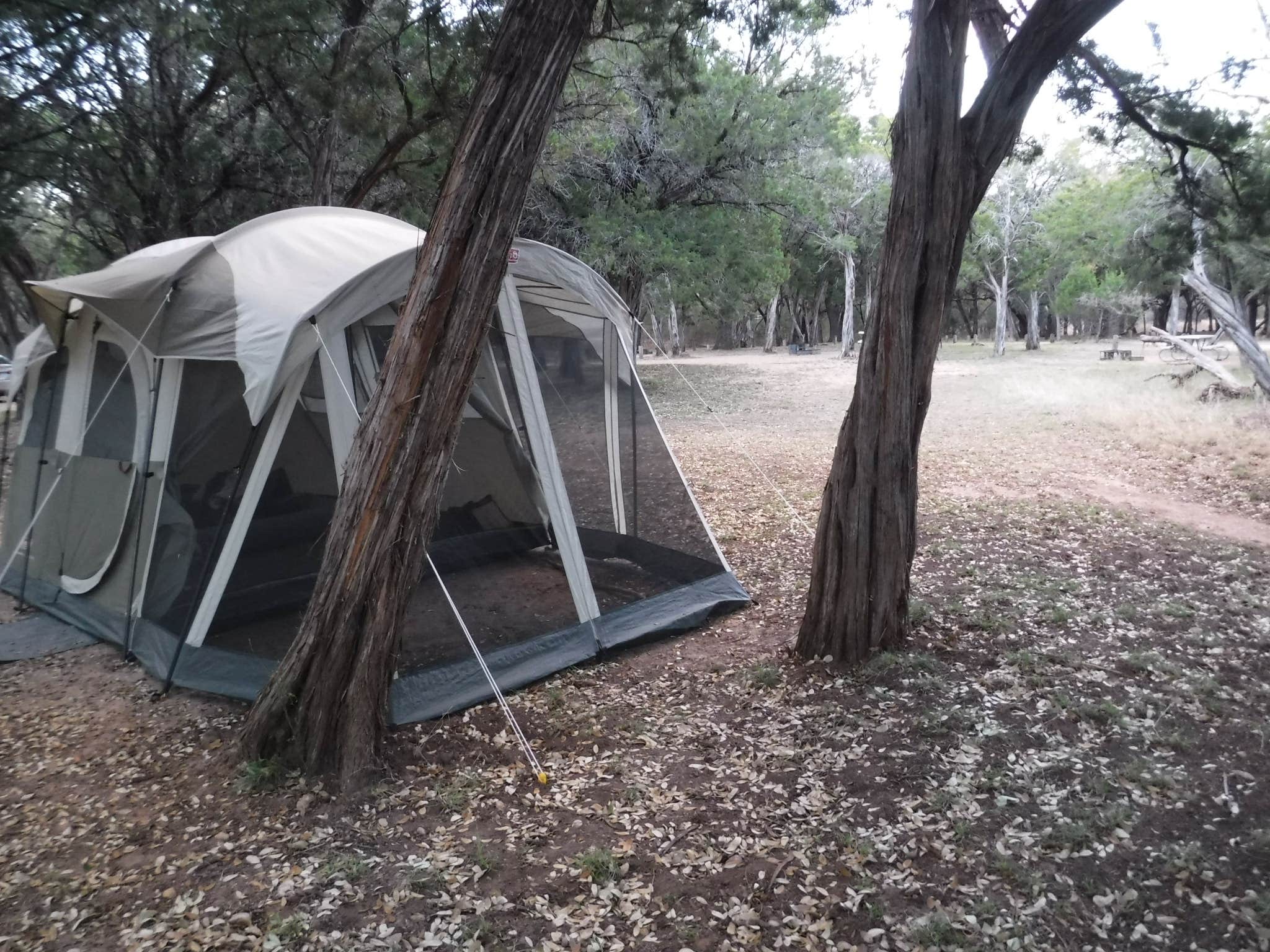 Elizabeth N.'s photo at Abilene State Park Campground near Robert Lee, TX