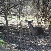 Review photo of Abilene State Park Campground by Elizabeth N., April 29, 2019