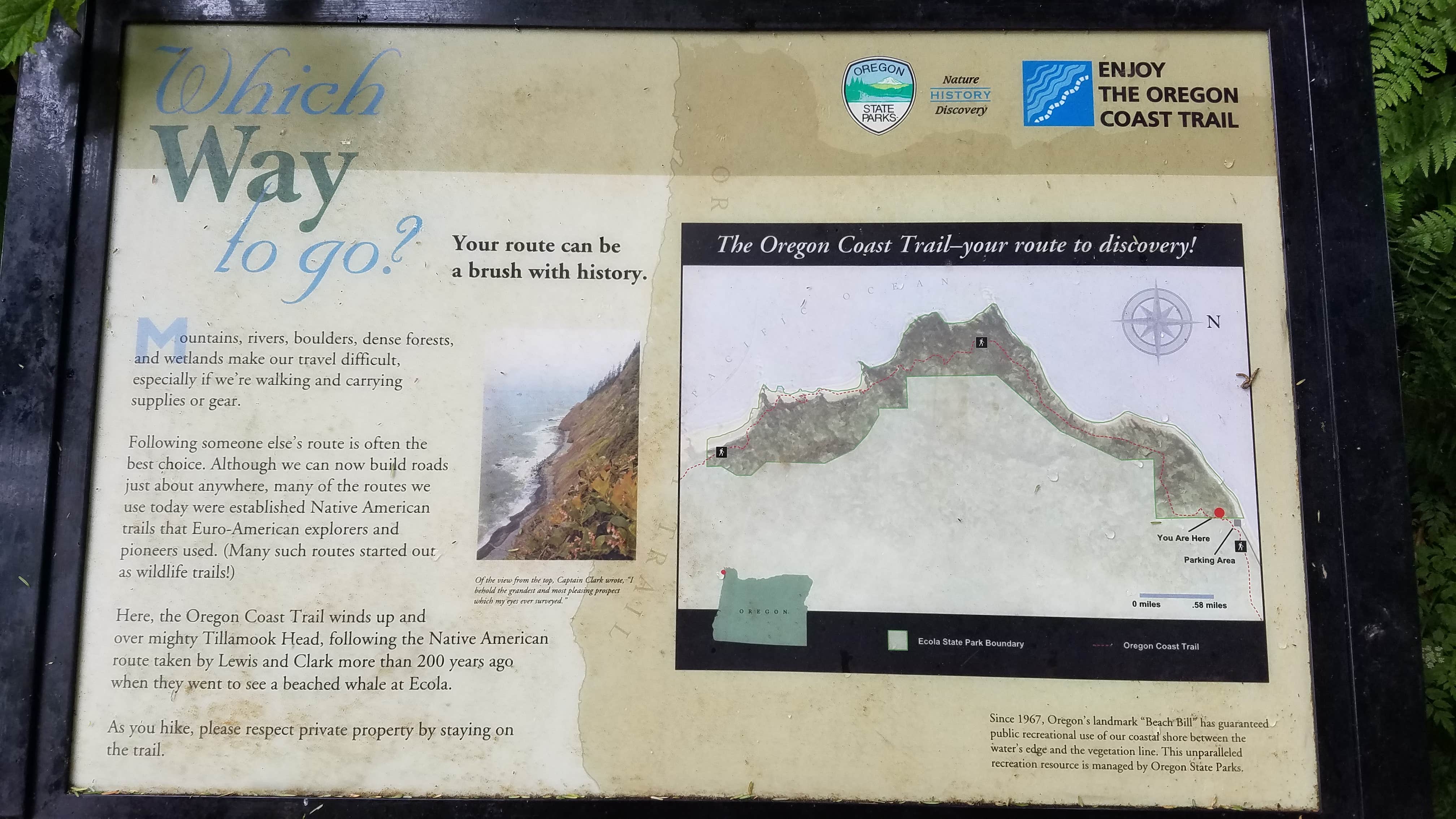 Camper-submitted photo at Tillamook Head National Recreation Trail - Hikers Only near Seaside, OR