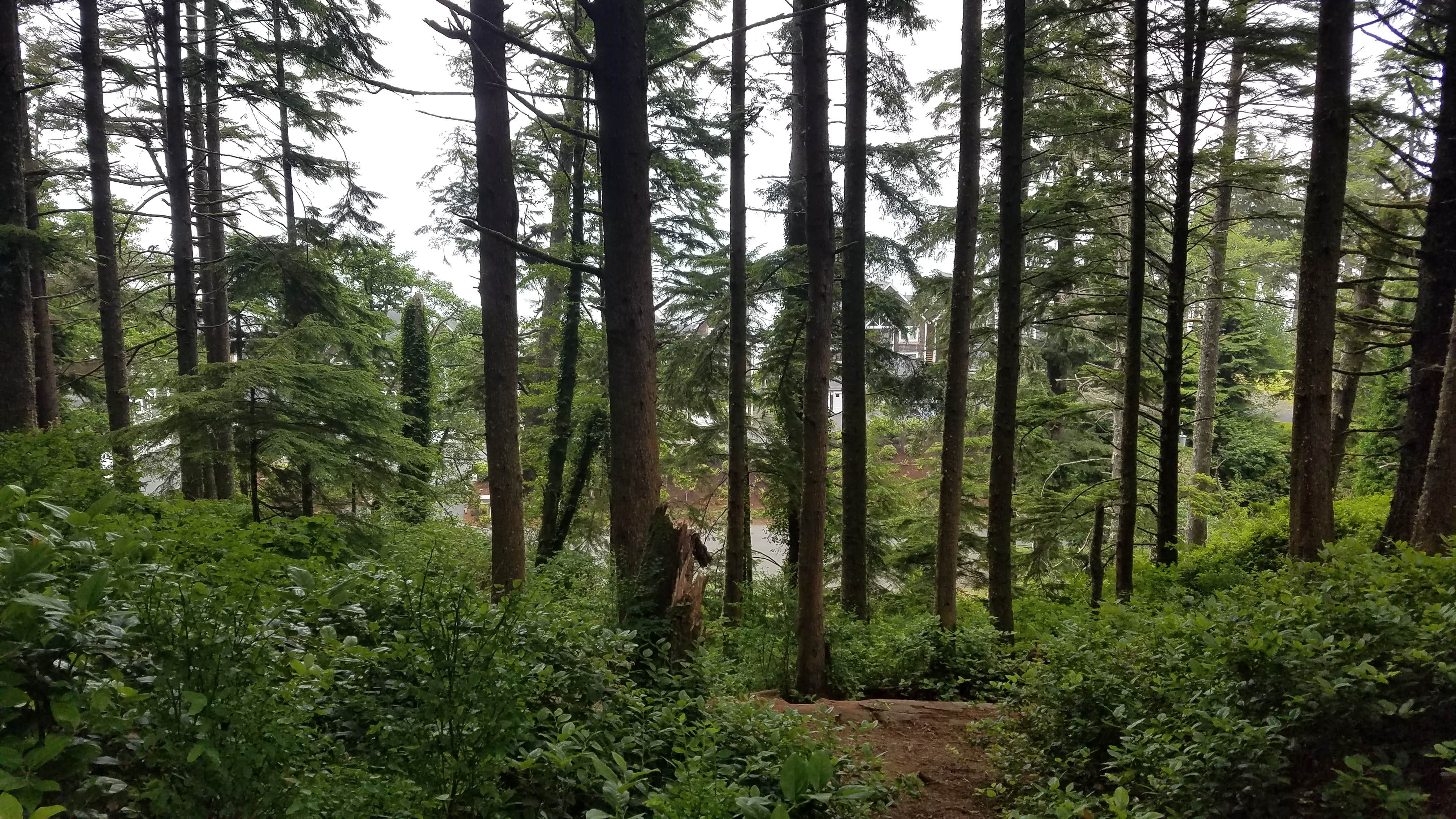 Detroit Lake State Recreation Area Campground