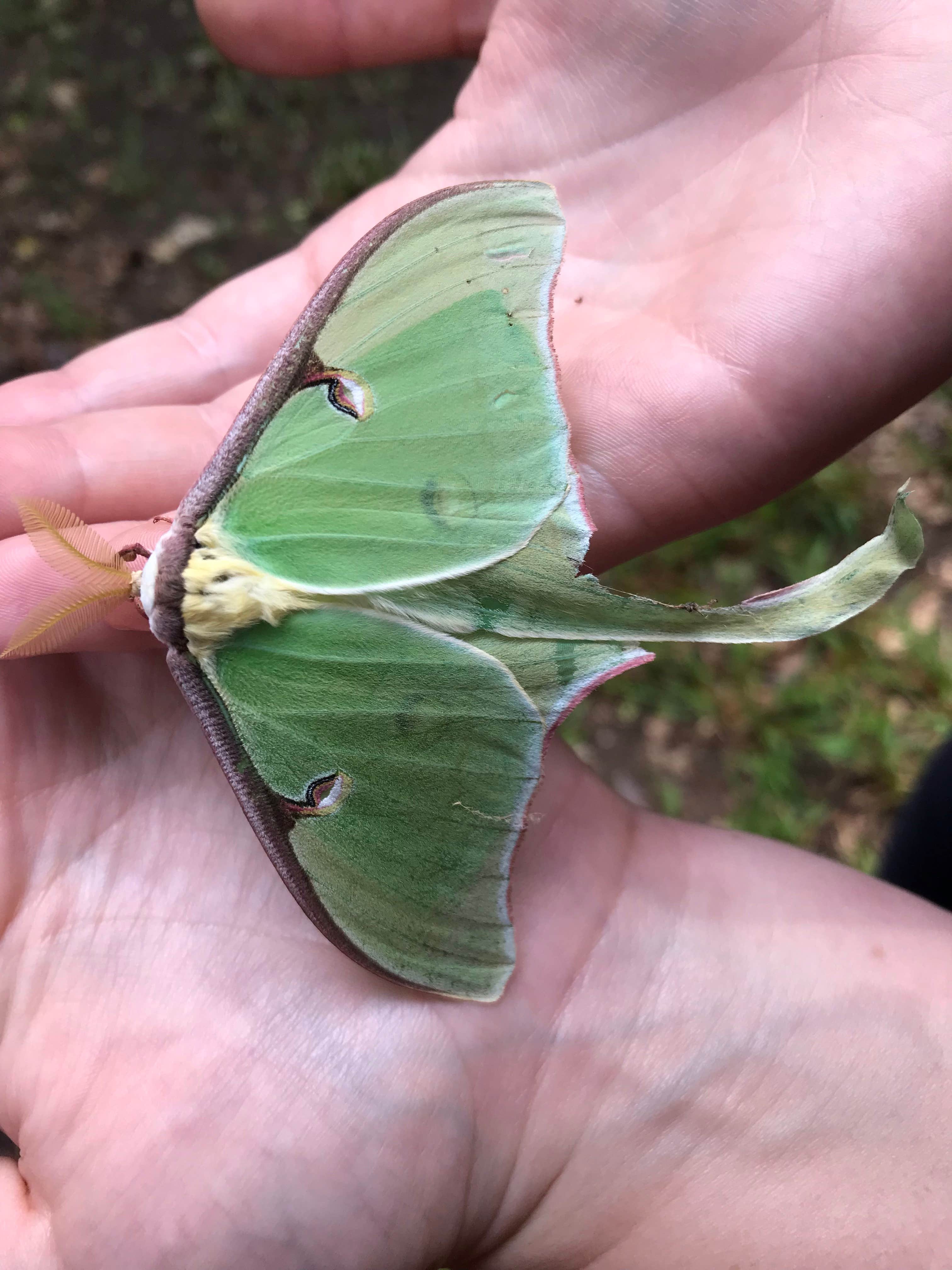 Camper-submitted photo at Martin Dies, Jr. State Park Campground near Steinhagen Lake