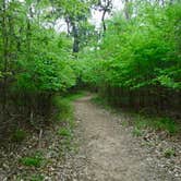 Review photo of Martin Dies, Jr. State Park Campground by Elizabeth N., April 29, 2019