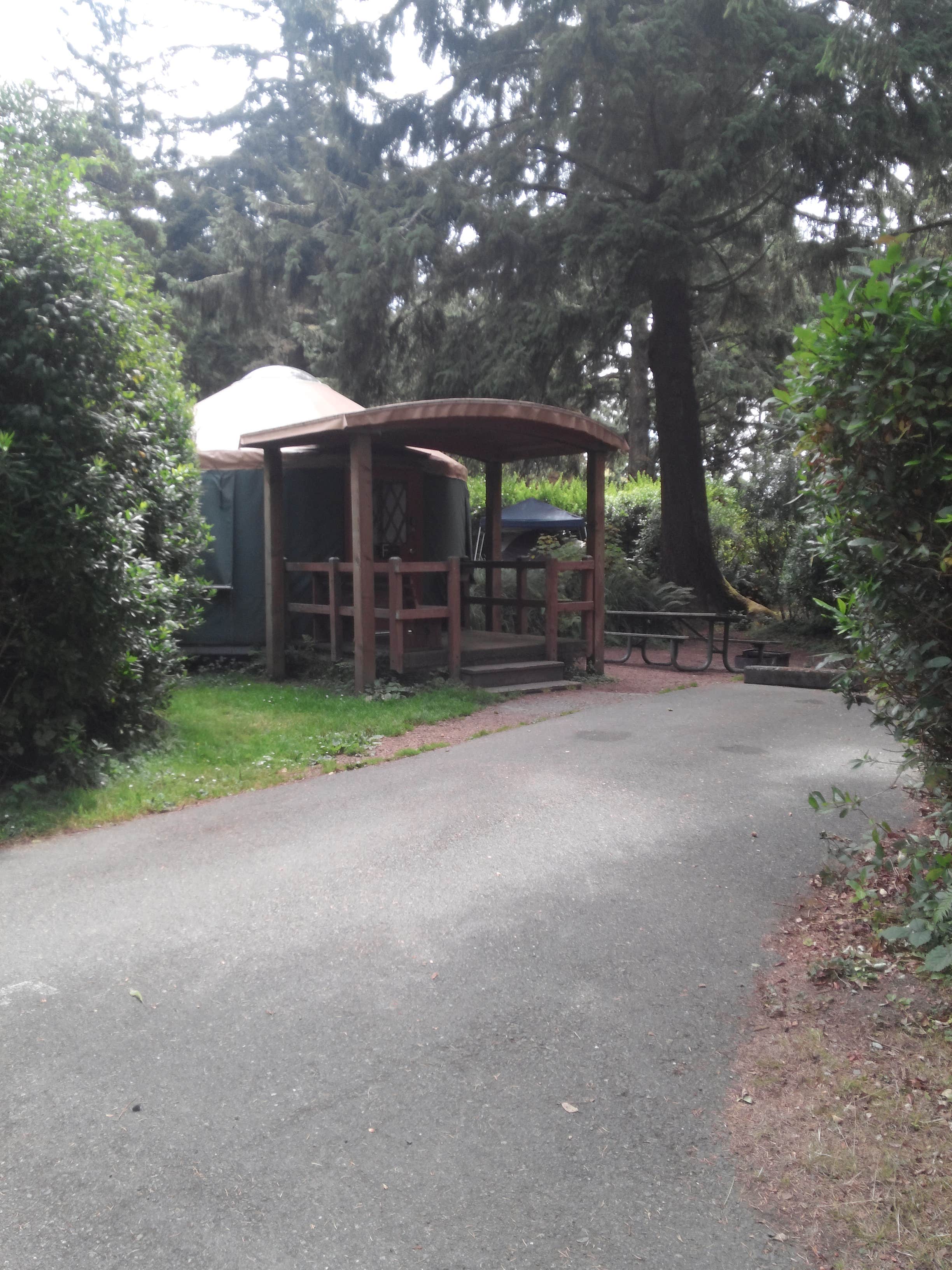Camper submitted image from Sunset Bay State Park Campground - 3