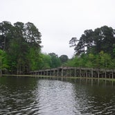 Review photo of Martin Dies, Jr. State Park Campground by Elizabeth N., April 29, 2019
