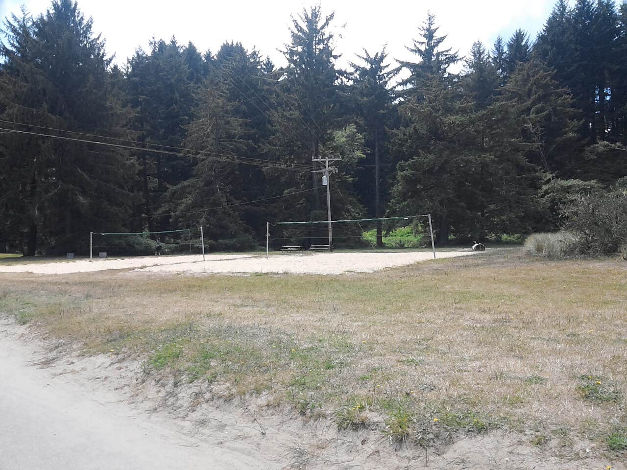 Camper submitted image from Sunset Bay State Park Campground - 2