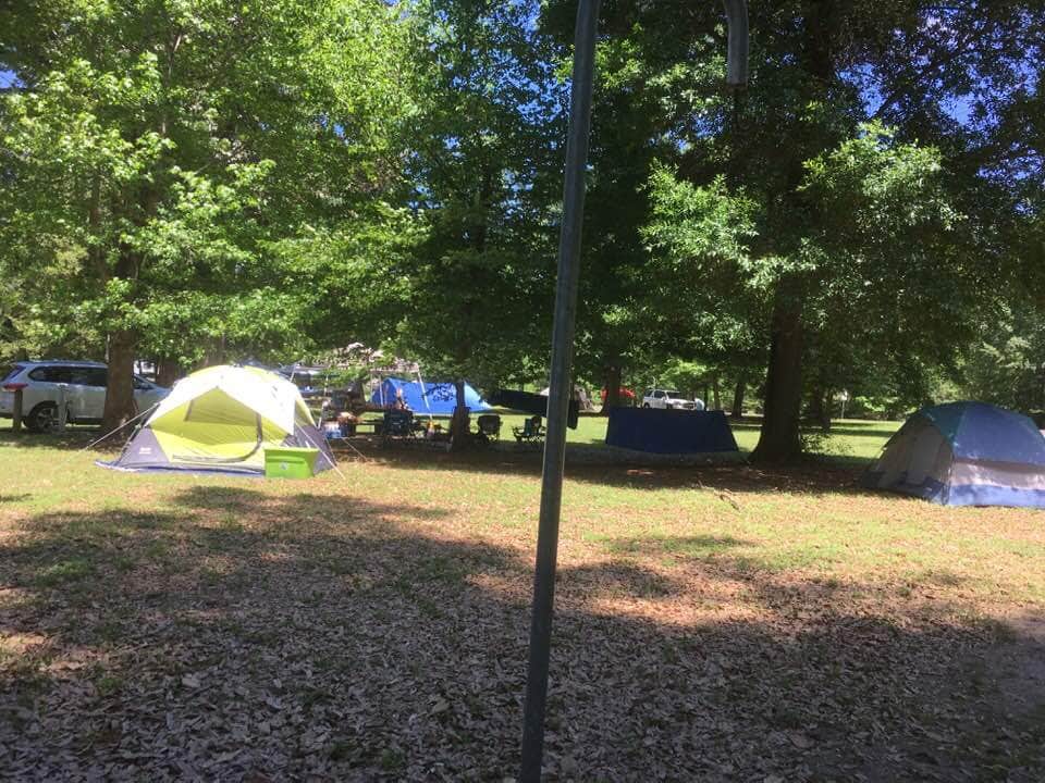 Brent F.'s photo at Martin Dies, Jr. State Park Campground near Steinhagen Lake