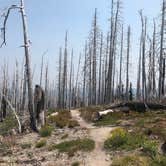 Review photo of Tilly Jane Guard Station by Stephanie Z., April 29, 2019