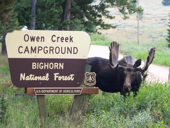 Camper submitted image from Owen Creek - 1
