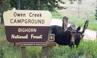 Camping near Bighorn National Forest Tie Flume Campground: Owen Creek, Wolf, Wyoming