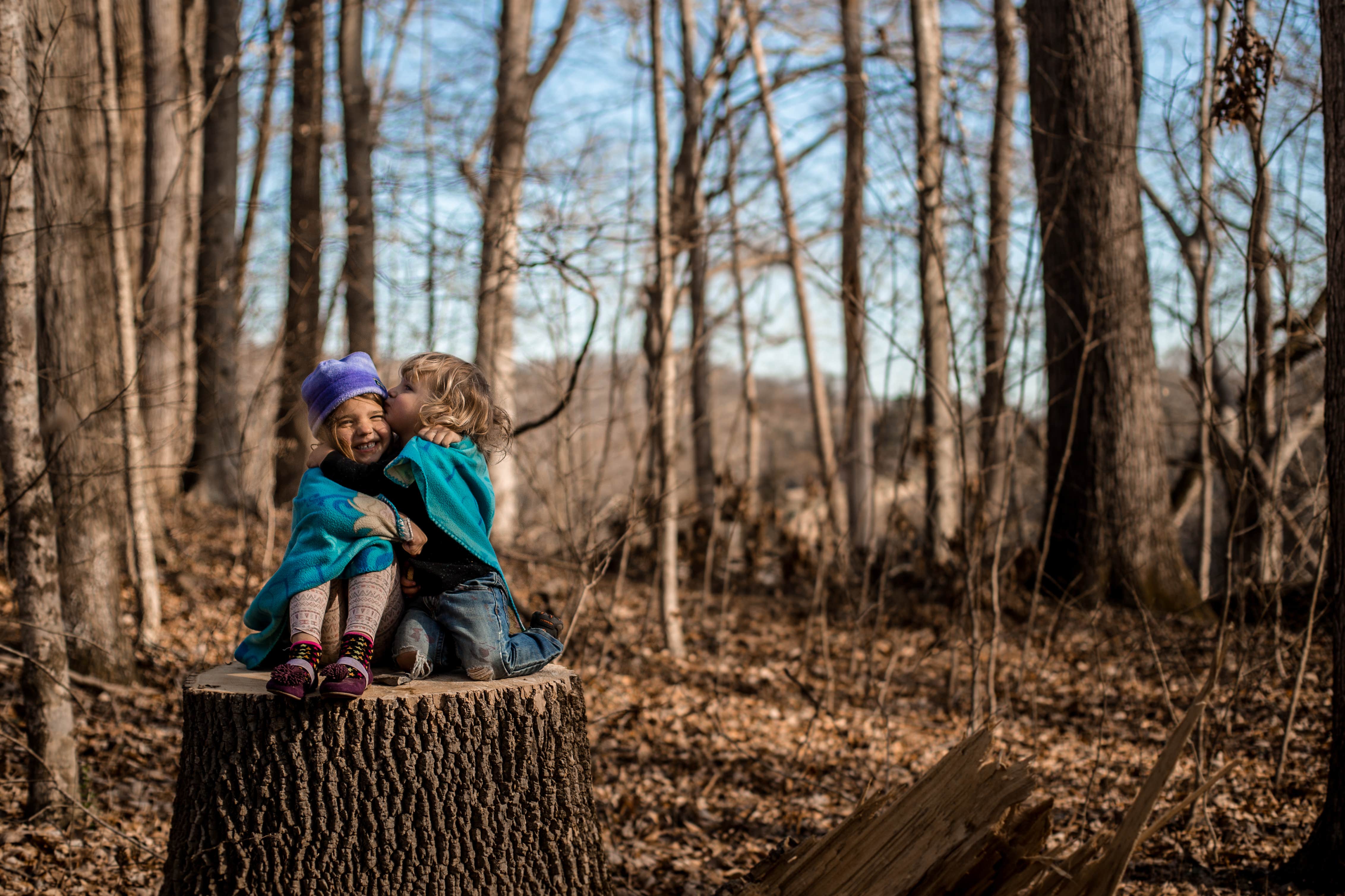 Camper submitted image from Warriors' Path State Park Main Campground — Warriors' Path State Park - 3