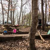 Review photo of Warriors' Path State Park Main Campground — Warriors' Path State Park by Stephanie J., April 29, 2019