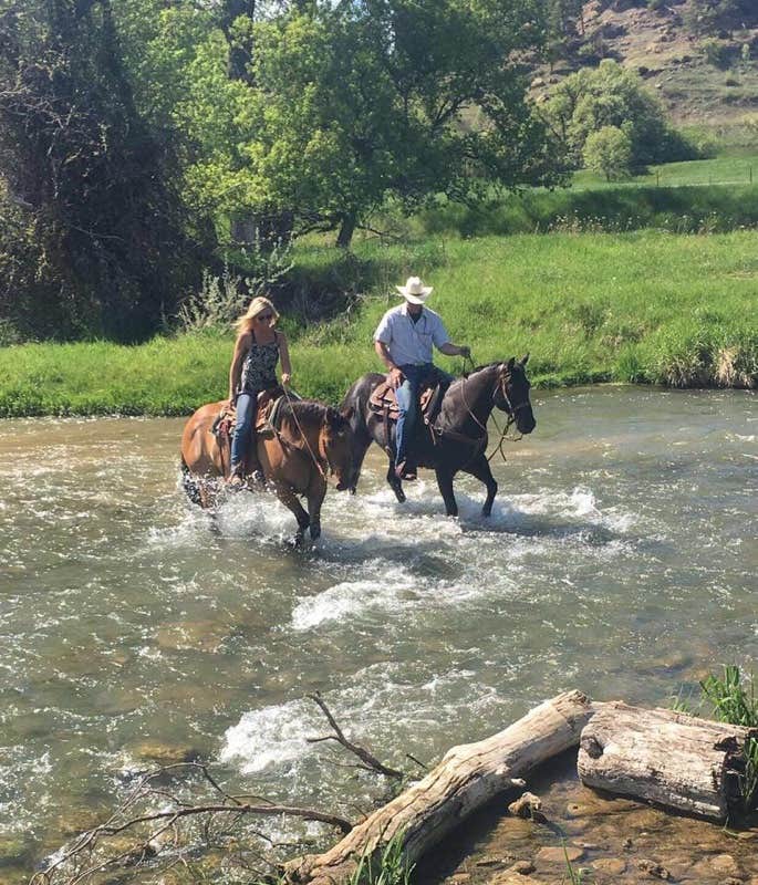 Alison B.'s photo of camping with a horse at Besler's Cadillac Ranch near Lead, SD