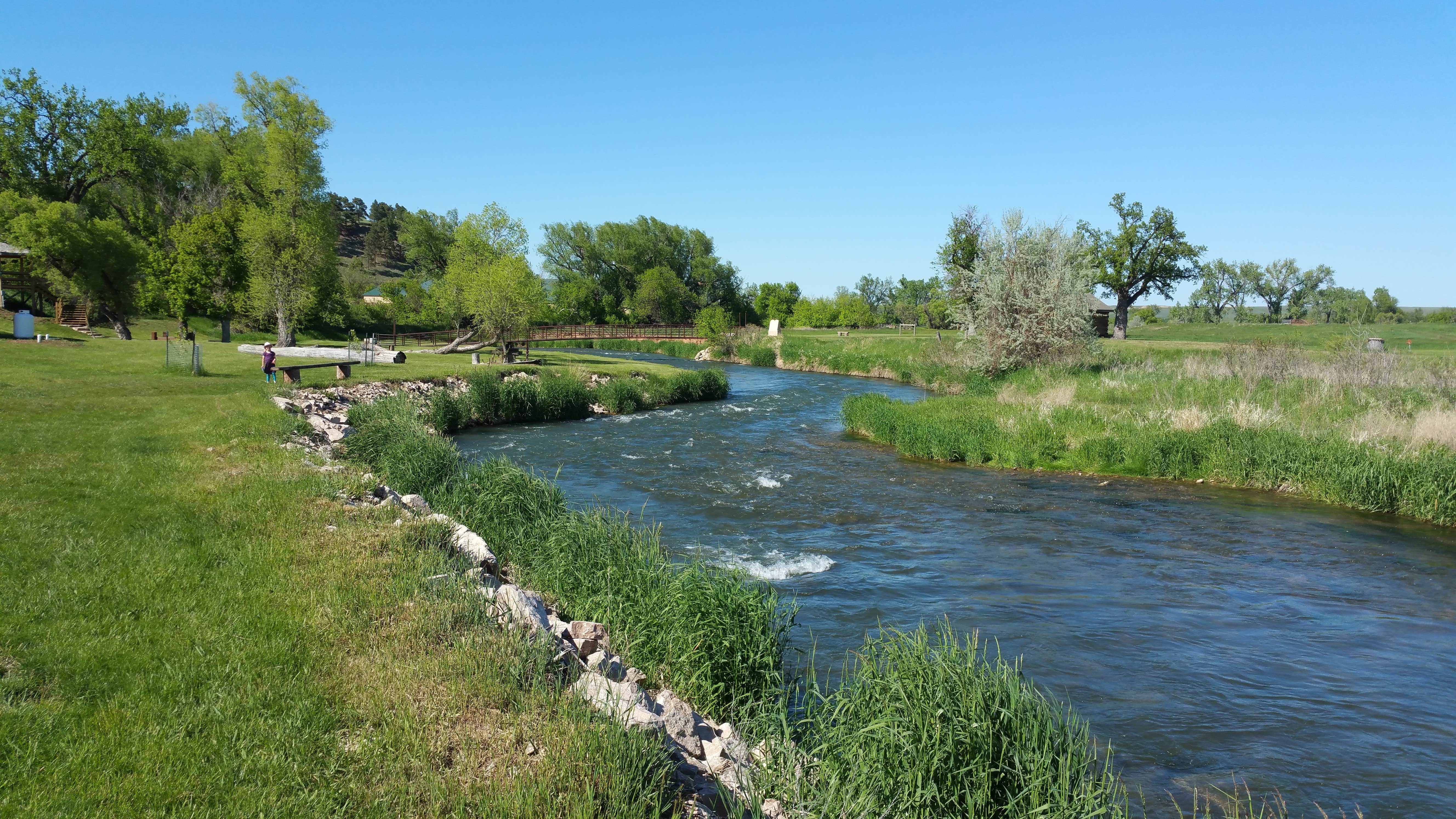 Camper-submitted photo at Besler's Cadillac Ranch near Devils Tower National Monument