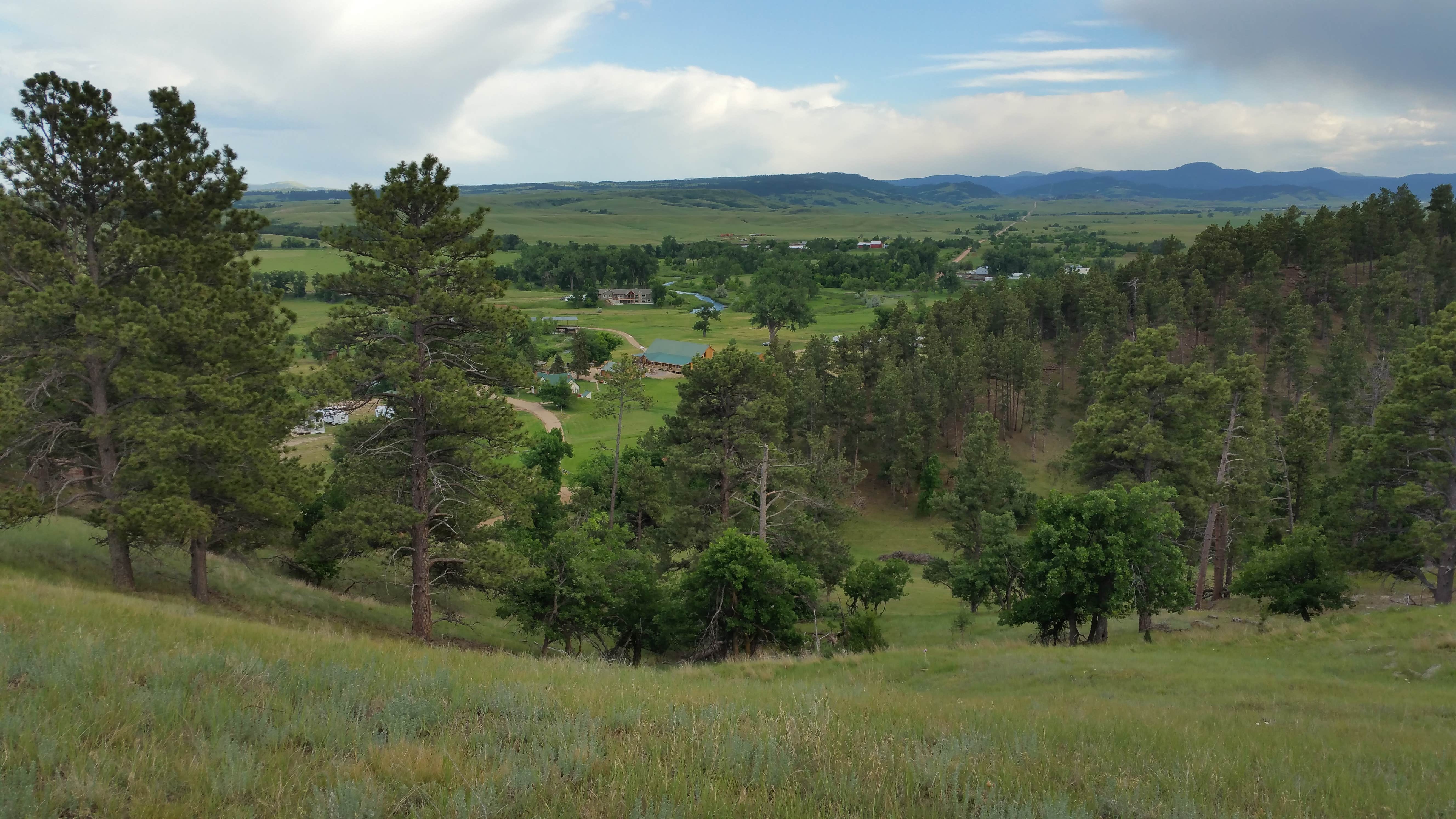 Camper-submitted photo at Besler's Cadillac Ranch near Devils Tower National Monument