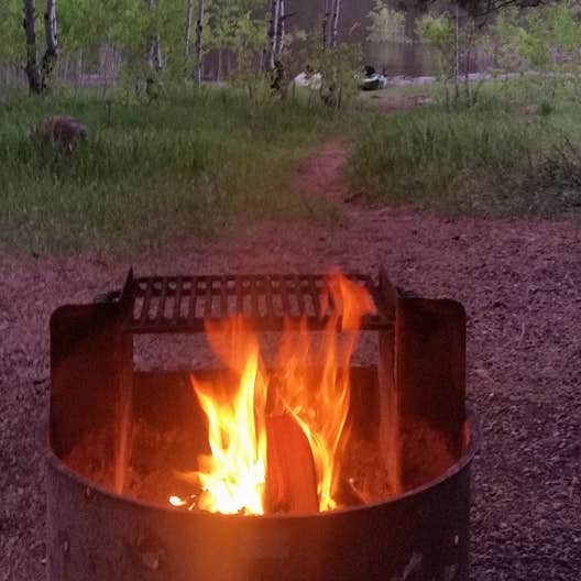 Miller Creek Camping The Dyrt