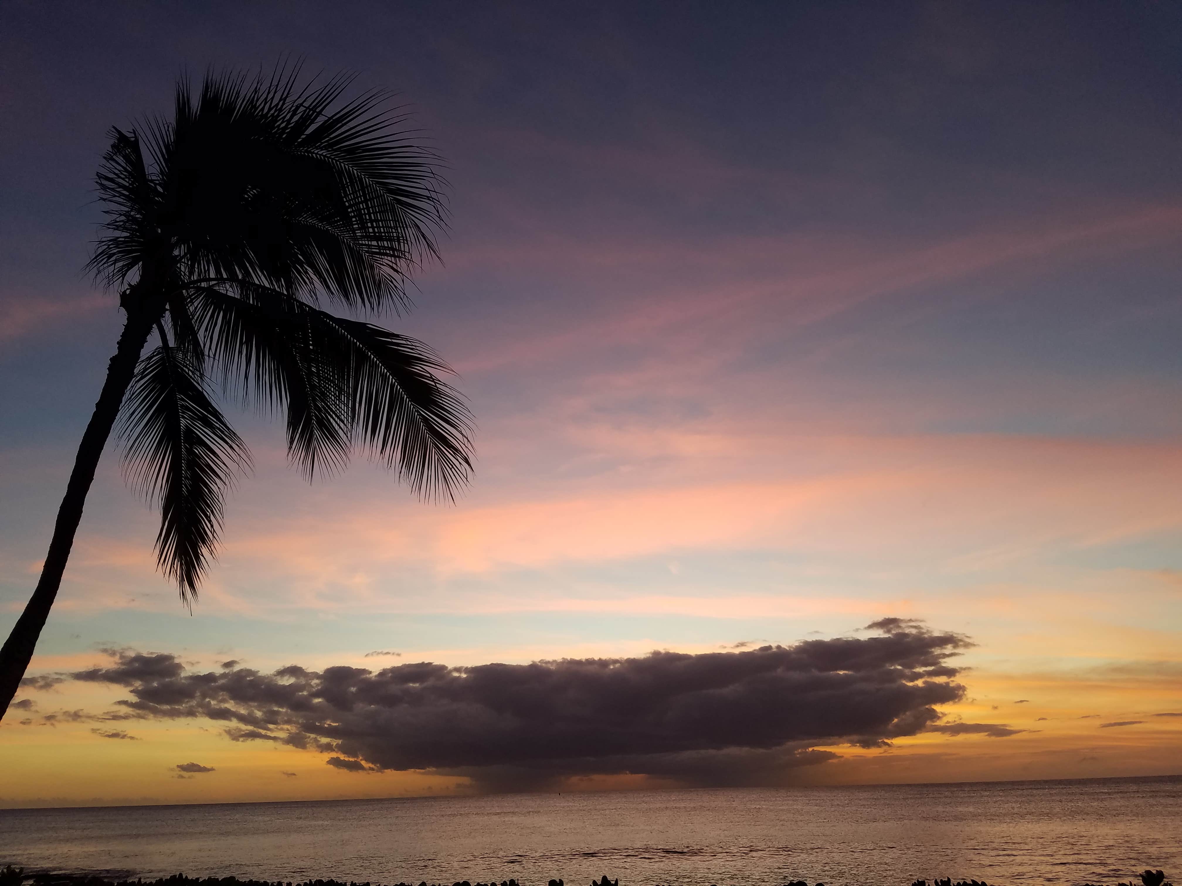 Camp Mokuleia The Dyrt