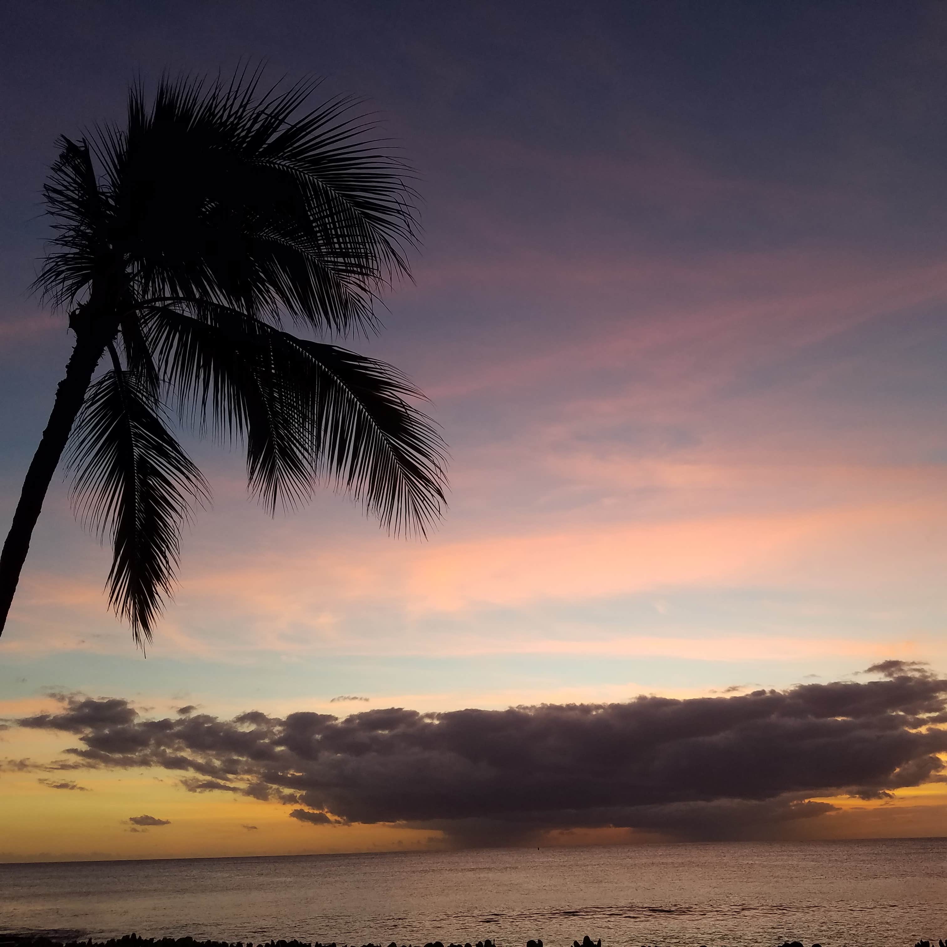 Camp Mokuleia The Dyrt