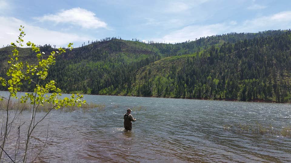 Camper submitted image from Miller Creek - 2