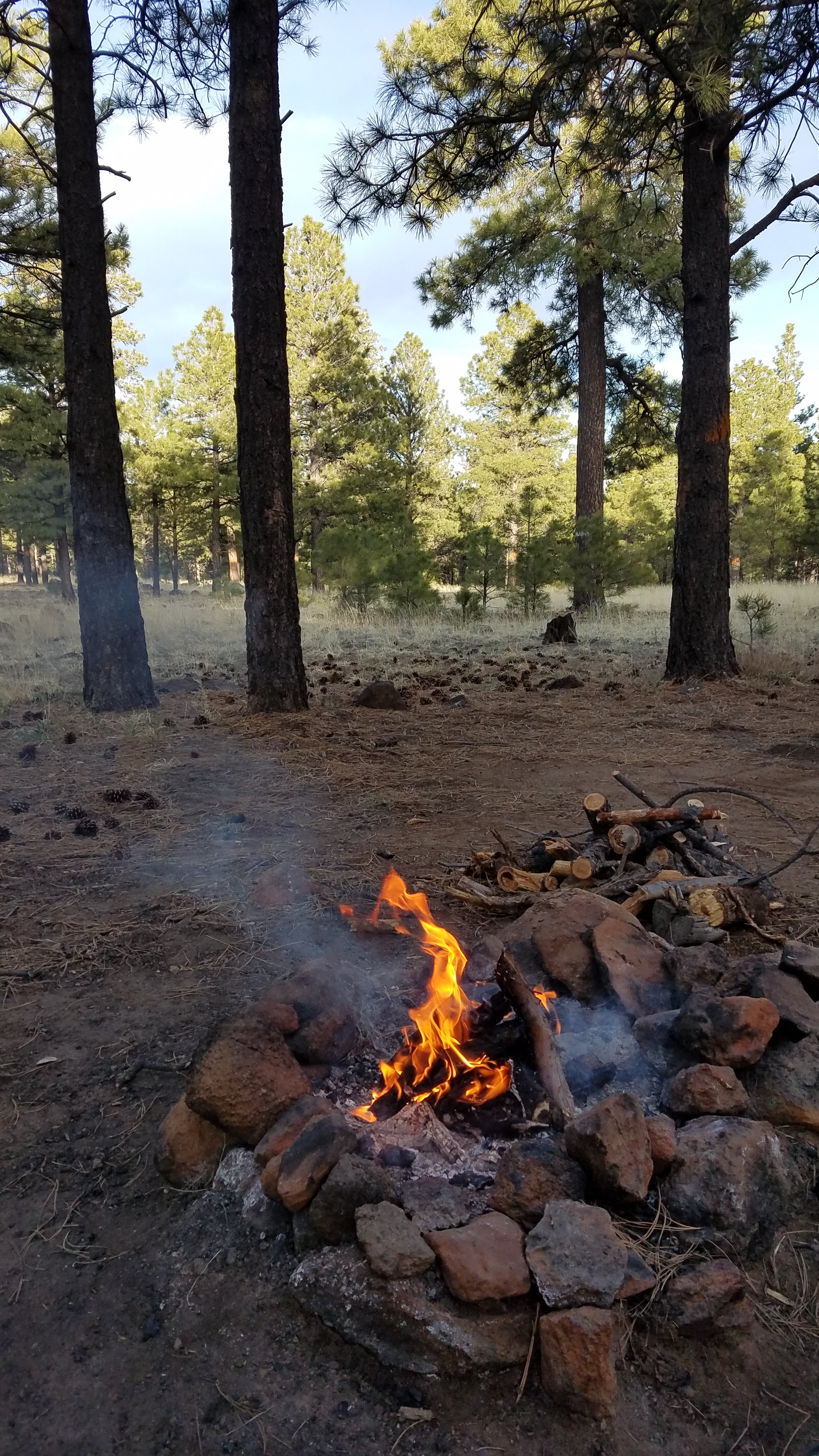 Camper submitted image from Lockett Meadow Dispersed Camping - 1