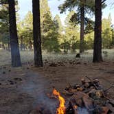 Review photo of Lockett Meadow Dispersed Camping by Amy G., April 29, 2019